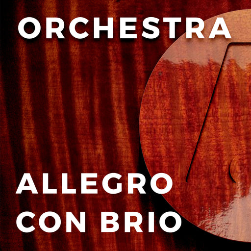 Allegro Con Brio (Arr. by Robert D. McCashin)