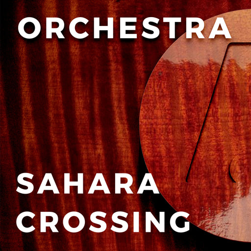 Sahara Crossing (Richard Meyer)