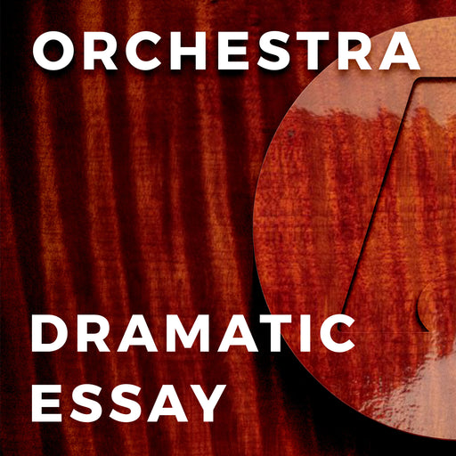 Dramatic Essay (Mark Williams)